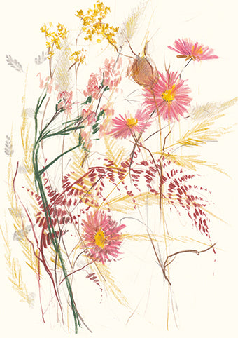 Autumn Notes