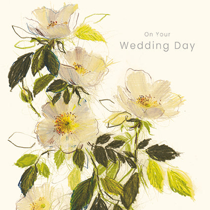 Dog Roses