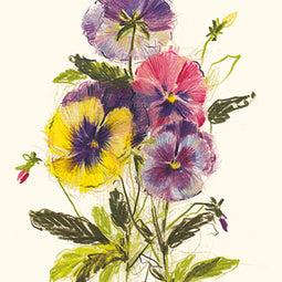 Pansies