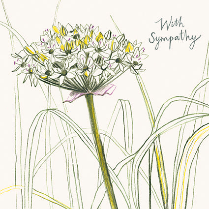 Spring allium