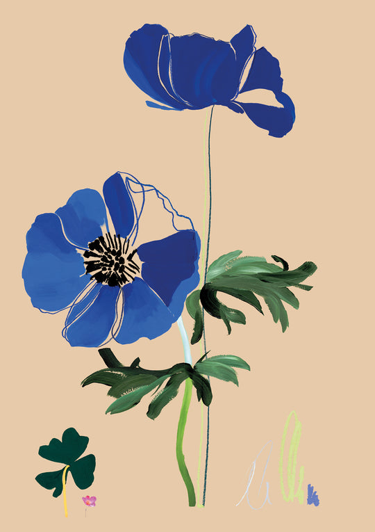 Sandstone Flowers