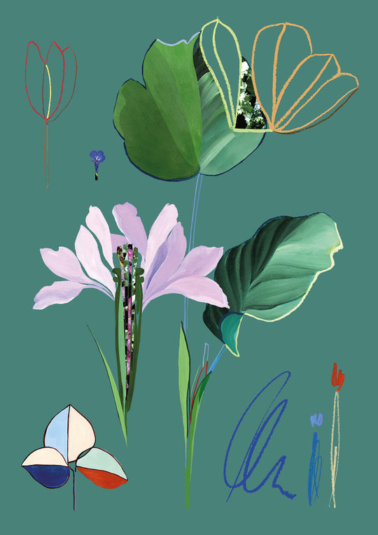 Porto Flowers