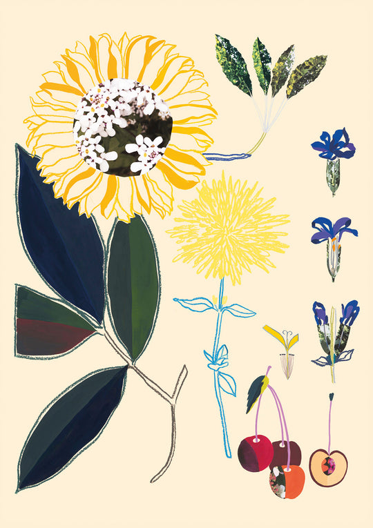 Marseille Flowers
