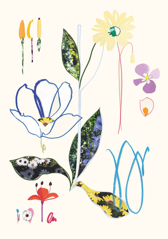 Spring Blooms