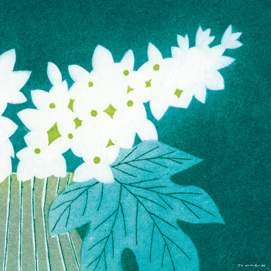 Hydrangeas