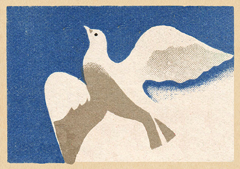 Bird of Peace