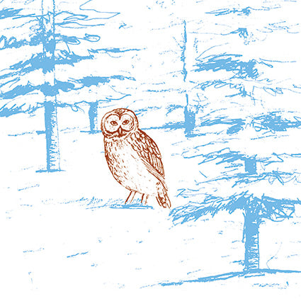 Forest Owl