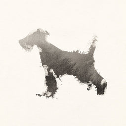 Schnauzer