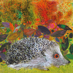 There's a hedgehog in my garden