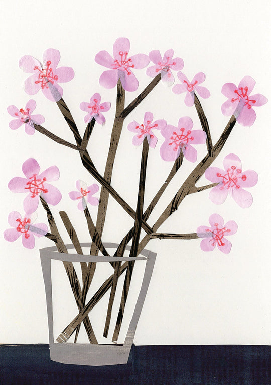 Cherry Blossoms