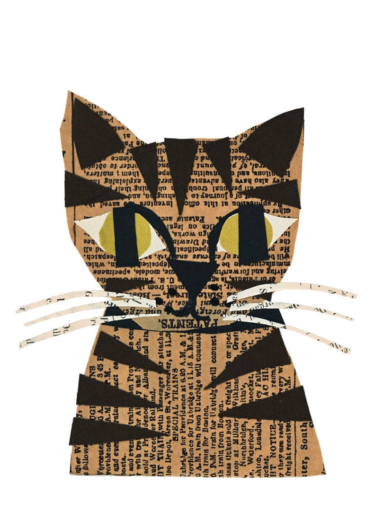Tabby Cat