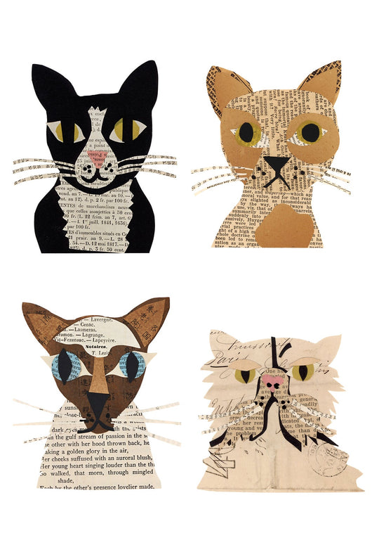 Cat Gang