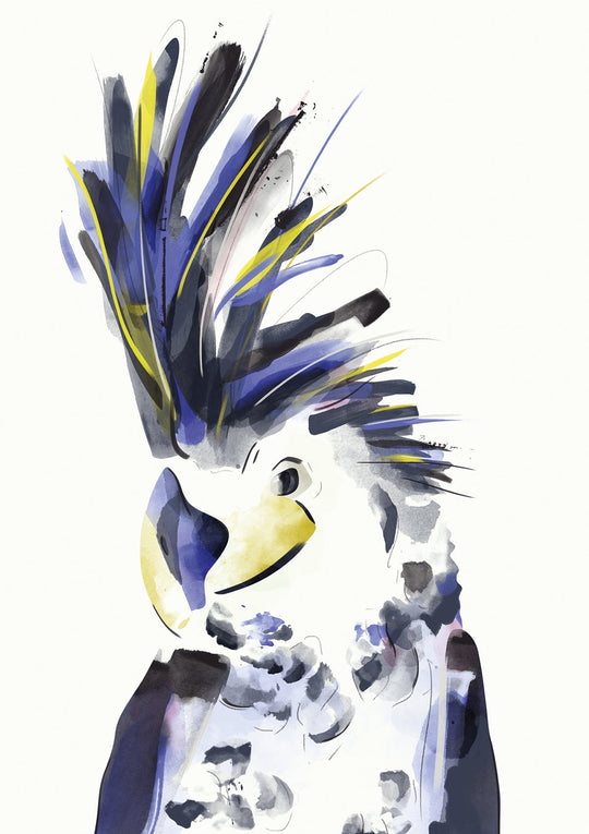 Palm Cockatoo