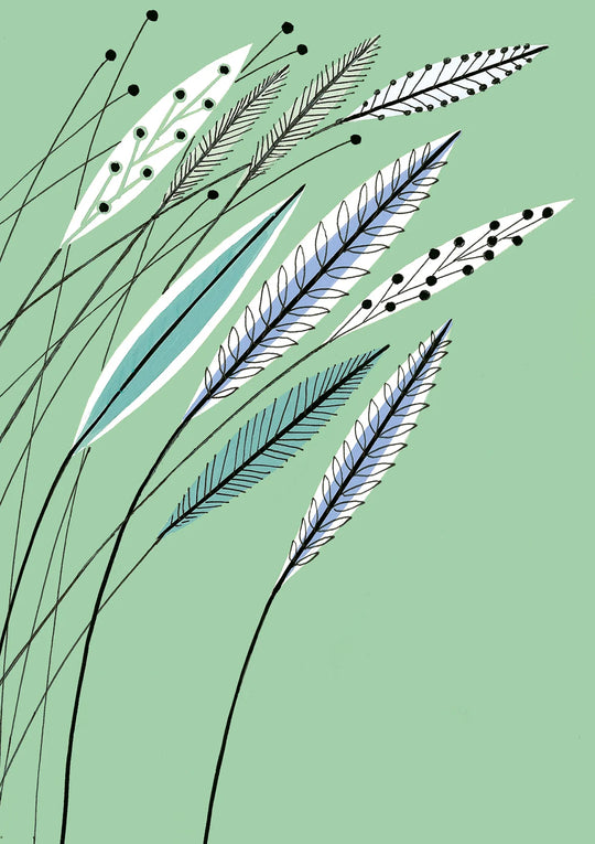 Meadow
