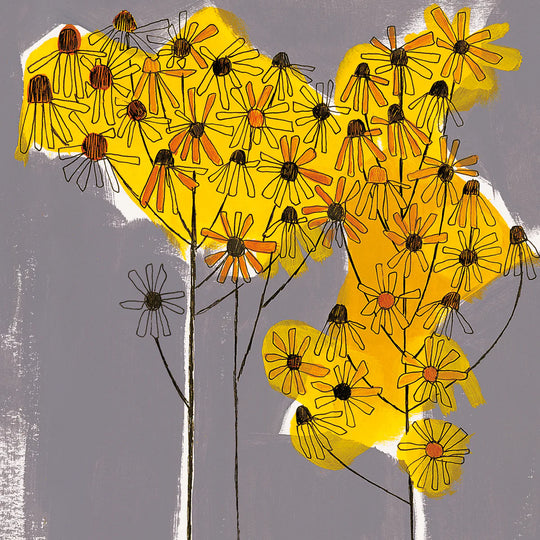 Welsh daisies