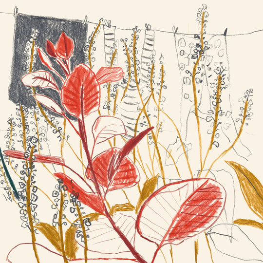 September Washing