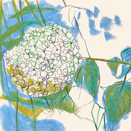 Flower-ball