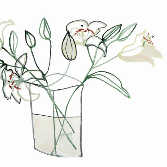 Unfolding Lily