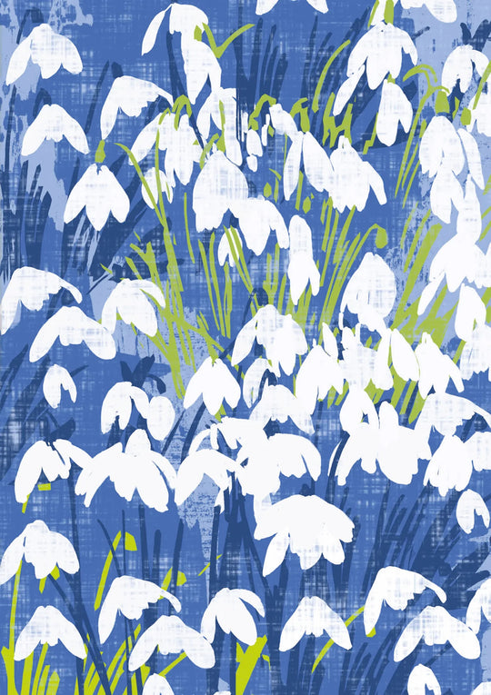 Snowdrops