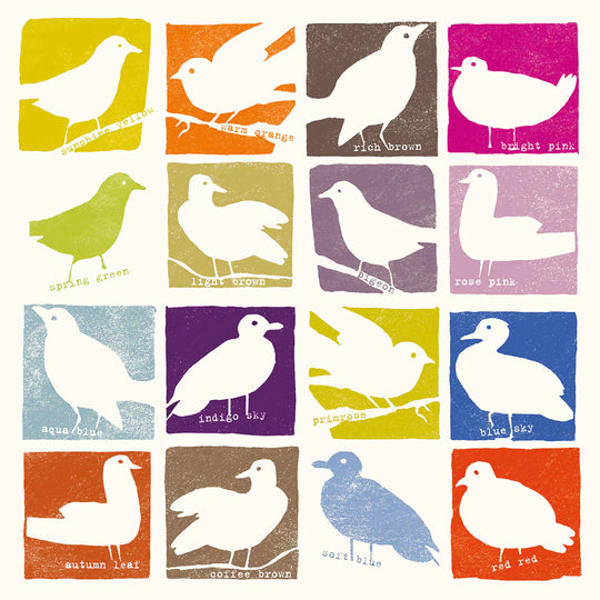 Bright Birds