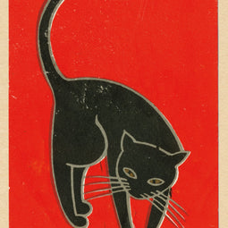 Black Cat
