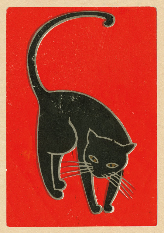 Black Cat