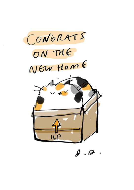 New home cat