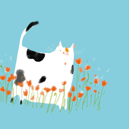 Poppy