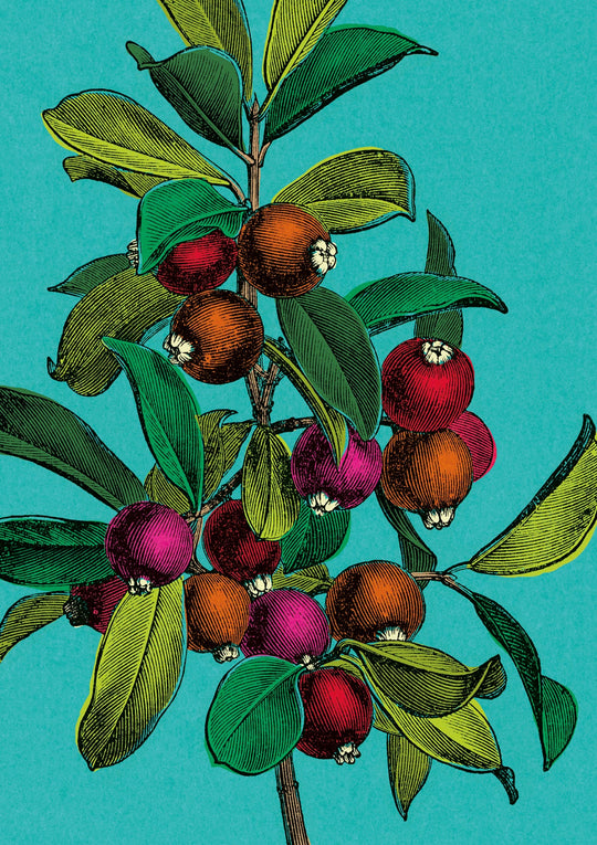 Wild Berries