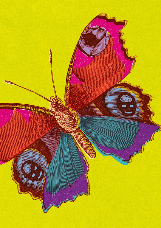 Peacock Butterfly