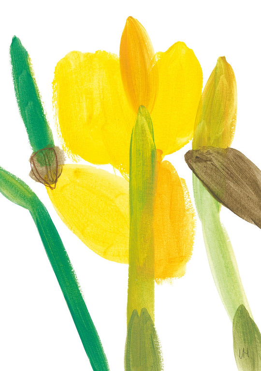 Flore V11