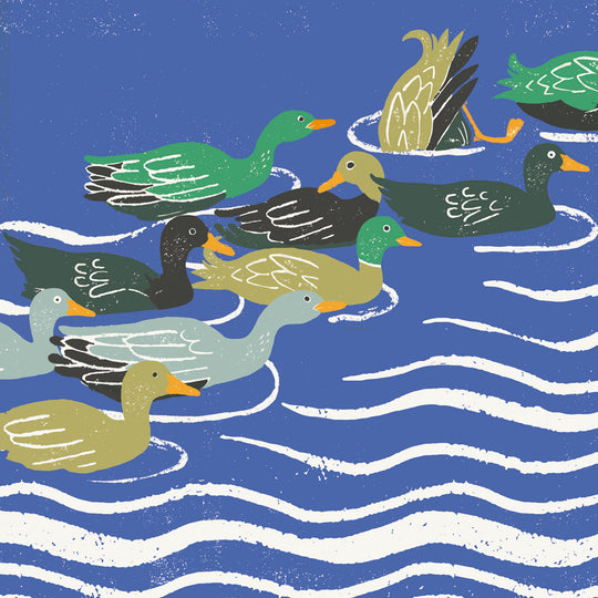 Quack!