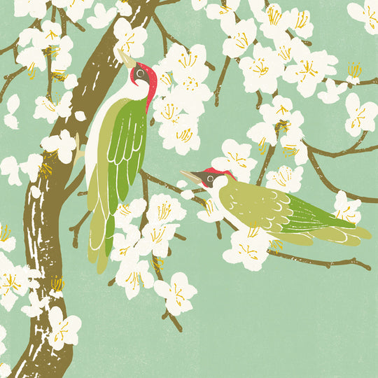 Perch