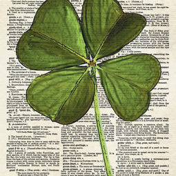 Four Leaf Clover
