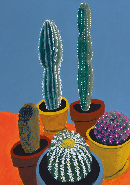 Sunlit cactus