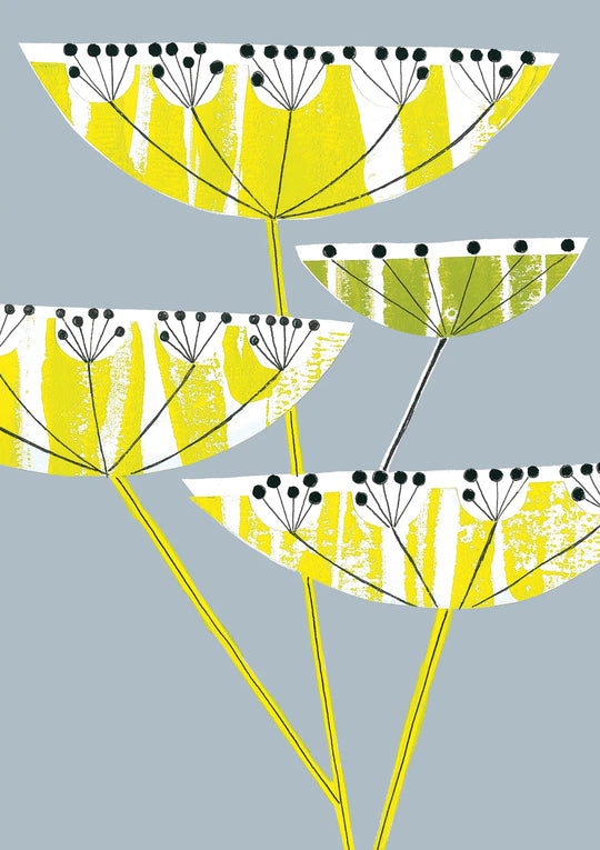 Fennel
