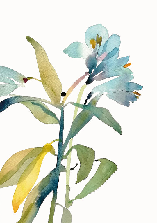 Lilies