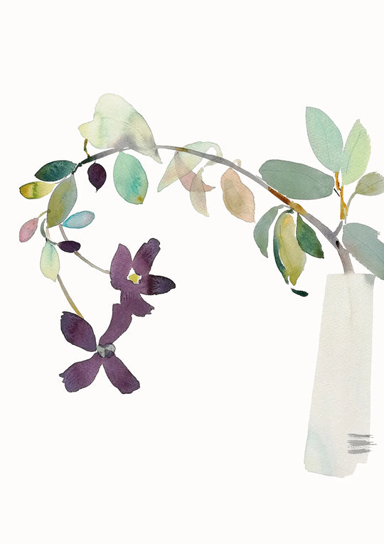 Clematis