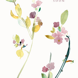 Blossom Time