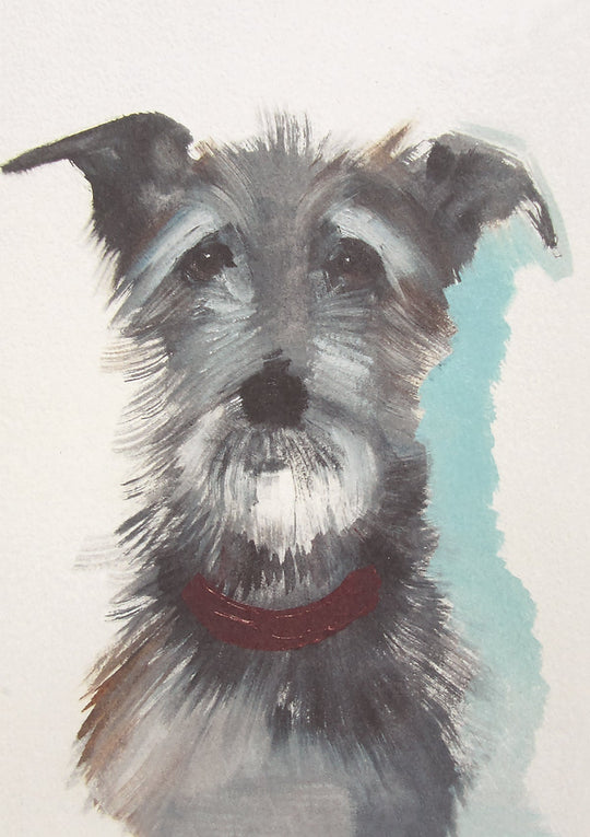 Hairy Dog