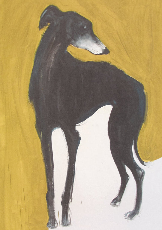 Galgo