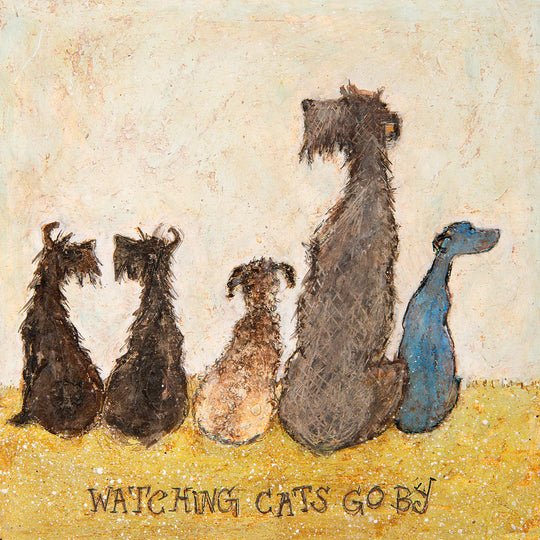 Watching cats go by