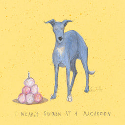 Little Boo Whippet