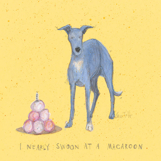 Little Boo Whippet