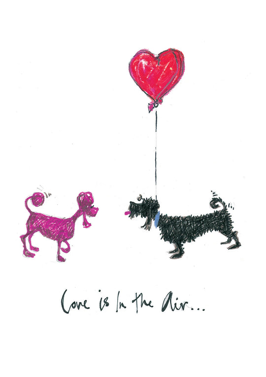 Love is in the air