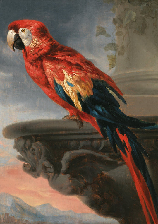 Peter Paul Rubens