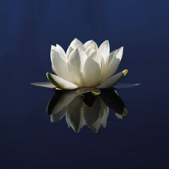 Serenity