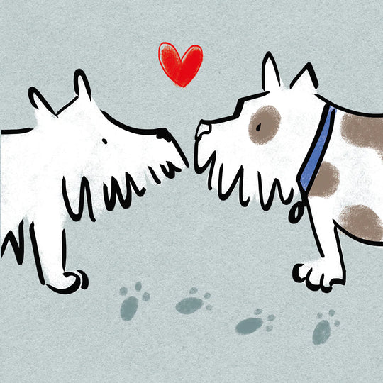Sniff,Sniff