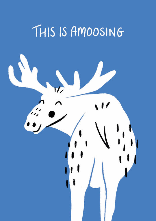 This is Amoosing