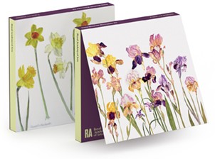 Dame Elizabeth Blackadder RA Floral Irises and Daffodils